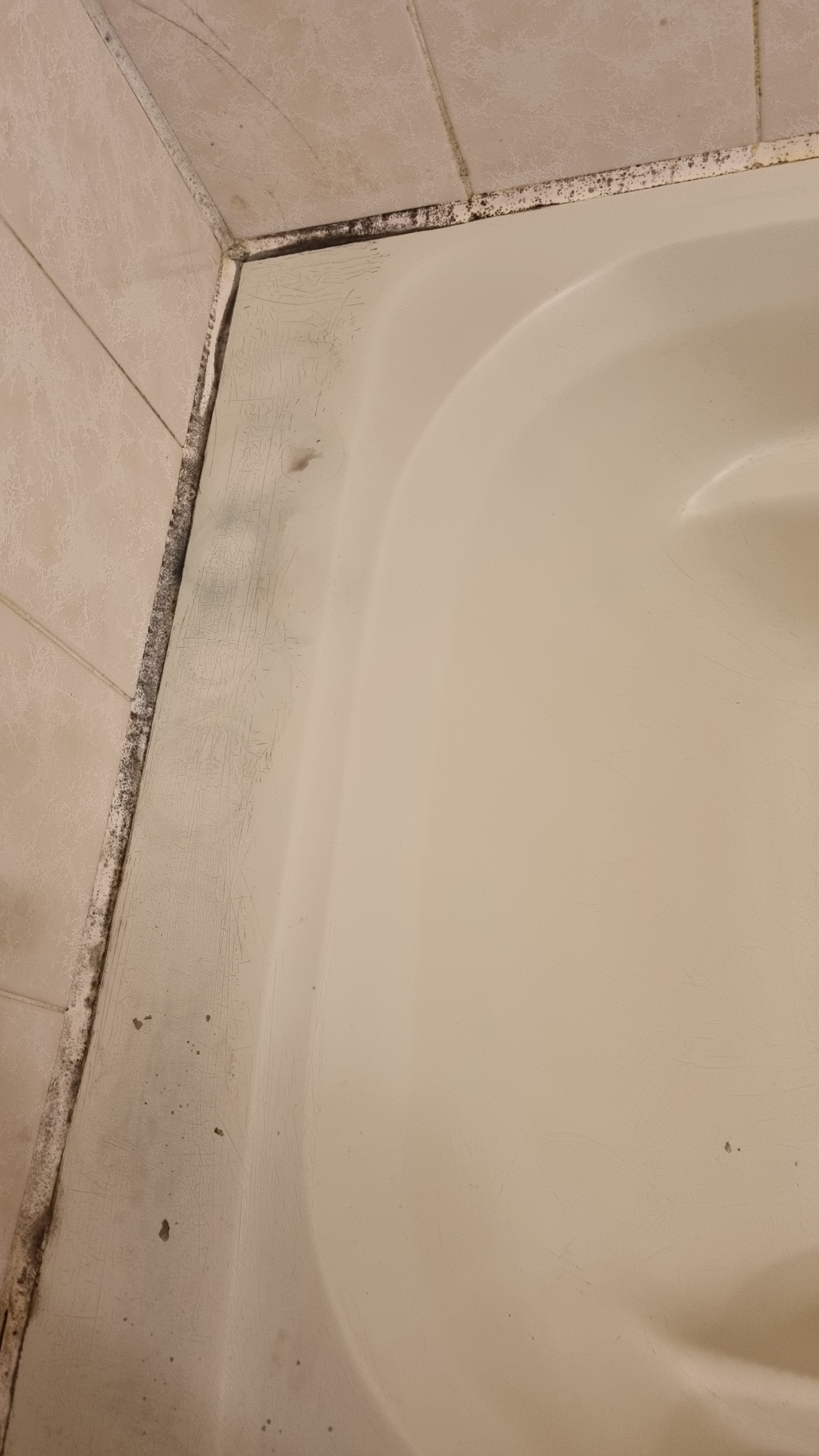 0662fd62f8c947e6fce4ce99a59d8d2c_1667352500_3075.jpg